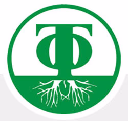 &Tau;&Epsilon;&Chi;&Nu;&Omicron;&Phi;&Alpha;&Rho;&Mu; &Alpha;.&Beta;.&Epsilon;.&Epsilon;.