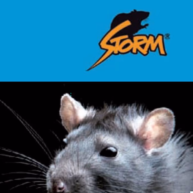 STORM WAX BLOCK BAIT 4gr