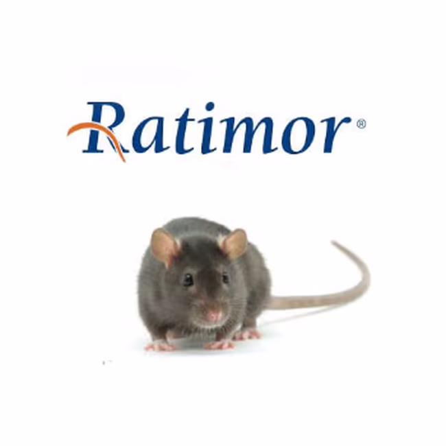 RATIMOR BB