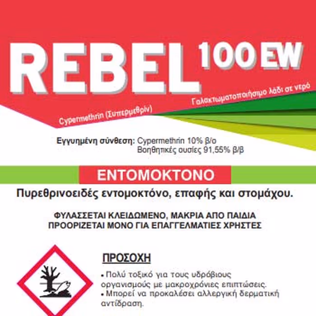 REBEL 100 EW