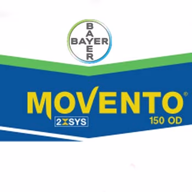 MOVENTO 150 OD