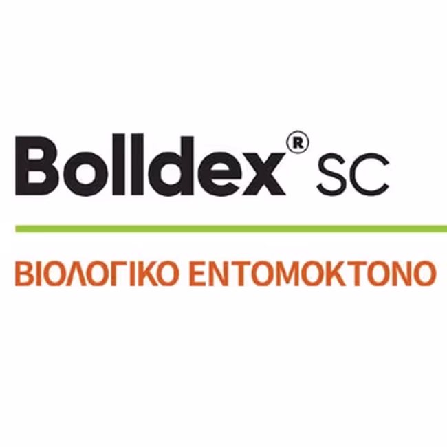 BOLLDEX