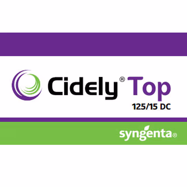 CIDELY TOP 125/15 DC