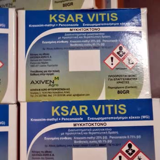 KSAR VITIS