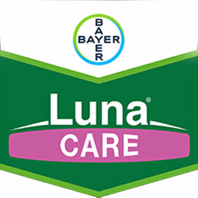 LUNA CARE WG