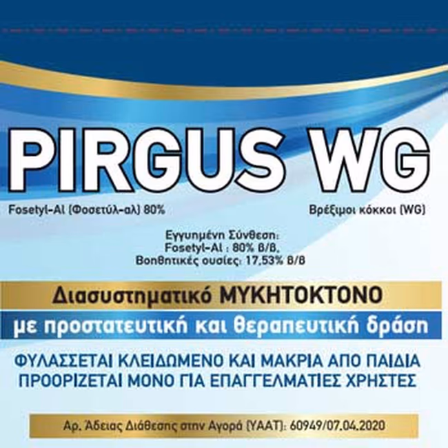 PIRGUS WG
