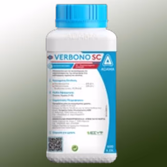 VERBONO