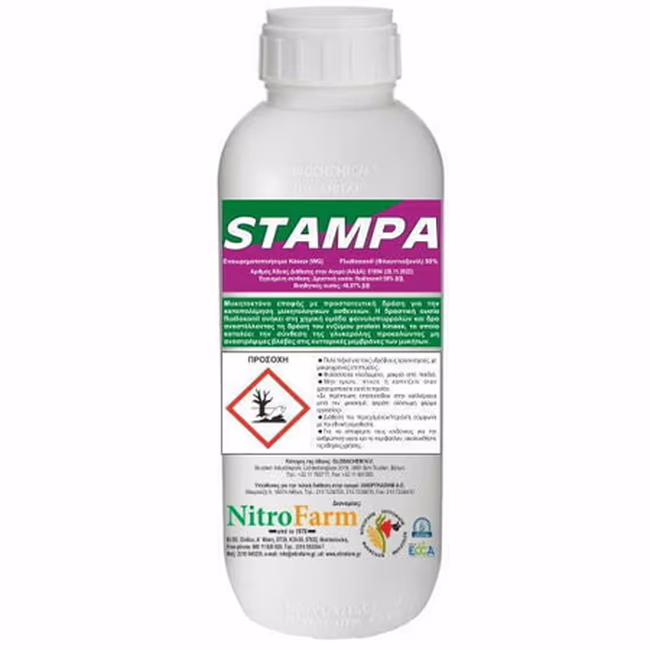 STAMPA