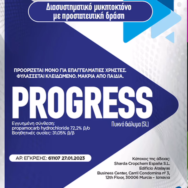 PROGRESS