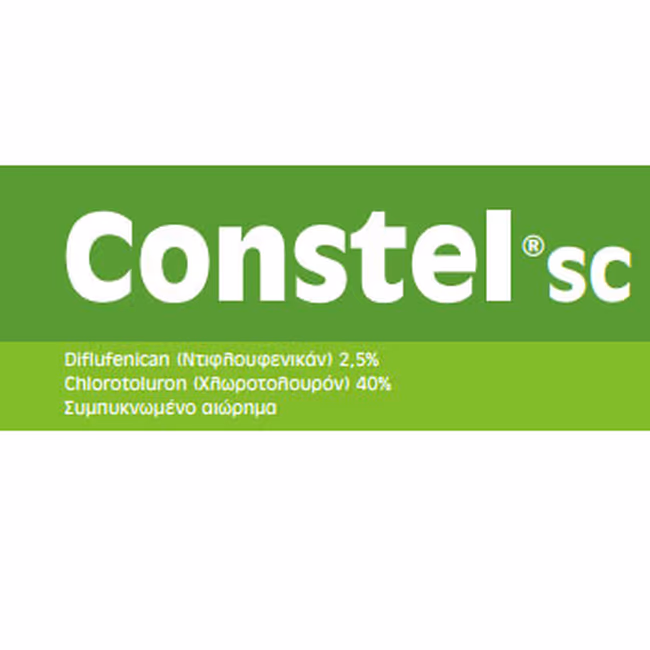 CONSTEL SC