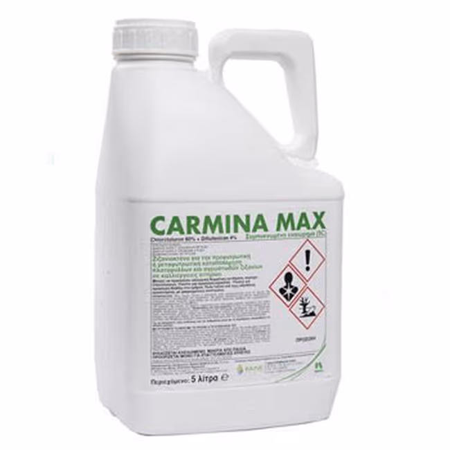 CARMINA MAX