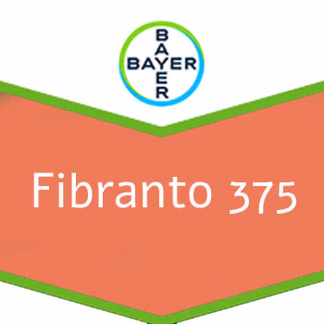 FIBRANTO