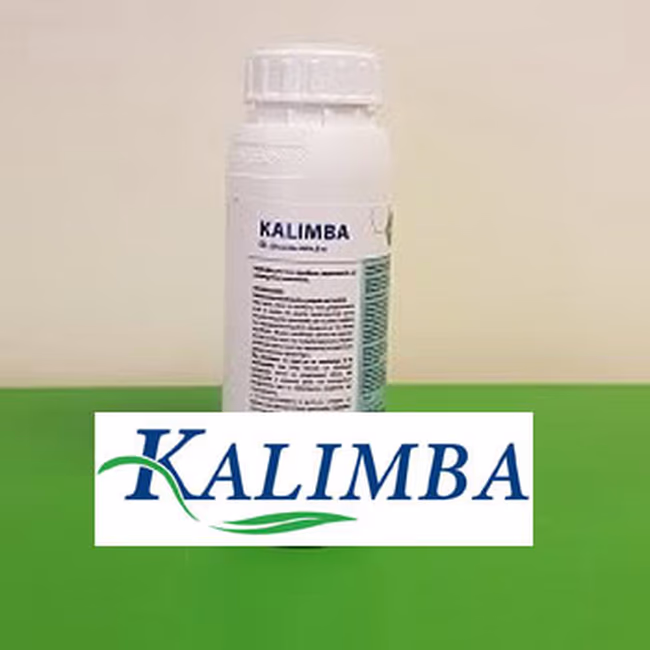 KALIMBA