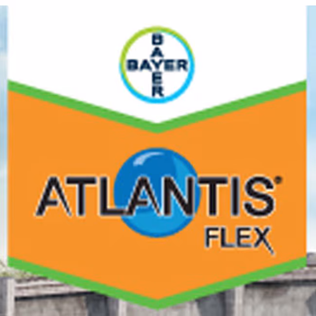ATLANTIS FLEX