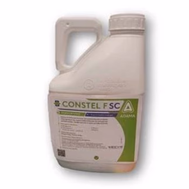 CONSTEL F