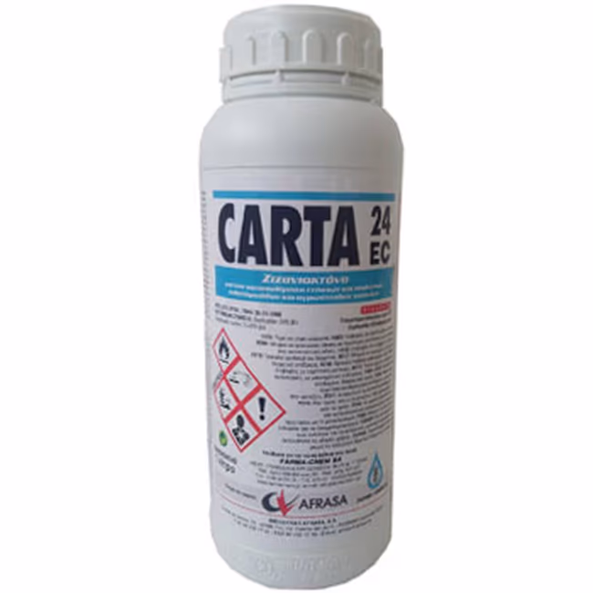 CARTA 24 EC