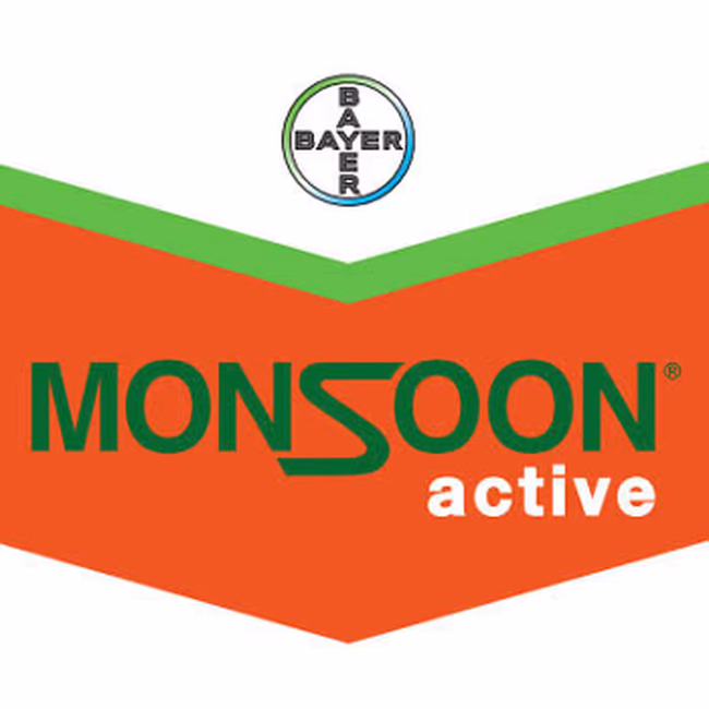 MONSOON ACTIVE