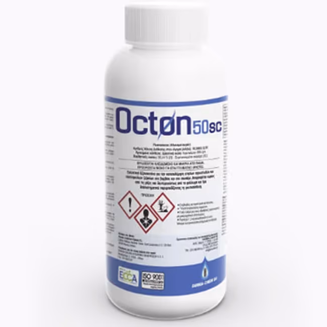 OCTON