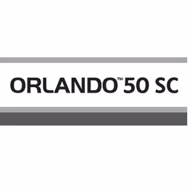 ORLANDO 50 SC
