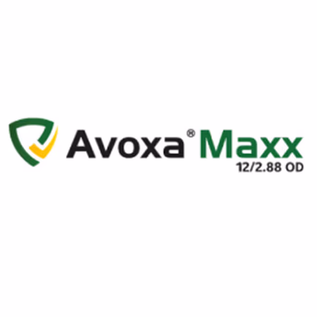AVOXA MAX 12/2.88 OD