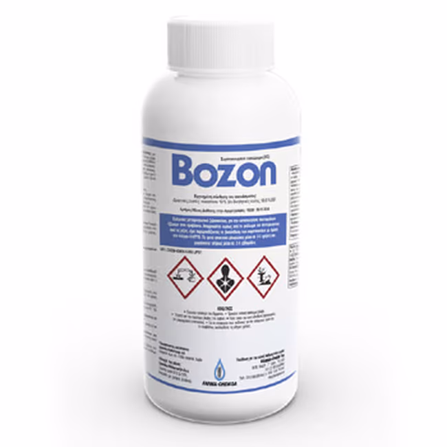 BOZON
