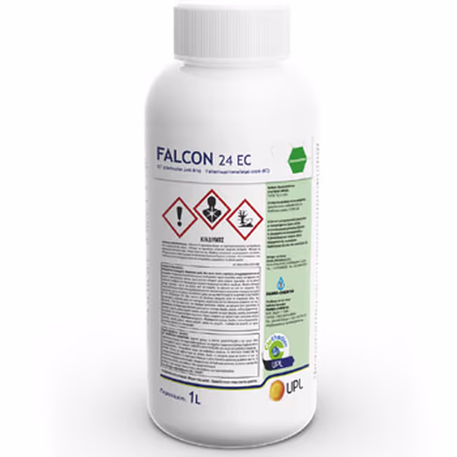 FALCON 24 EC