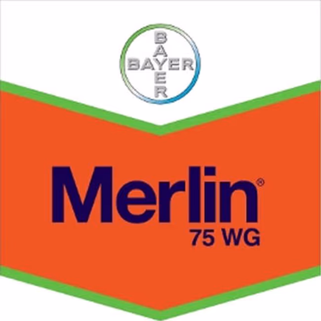 MERLIN 75 WG