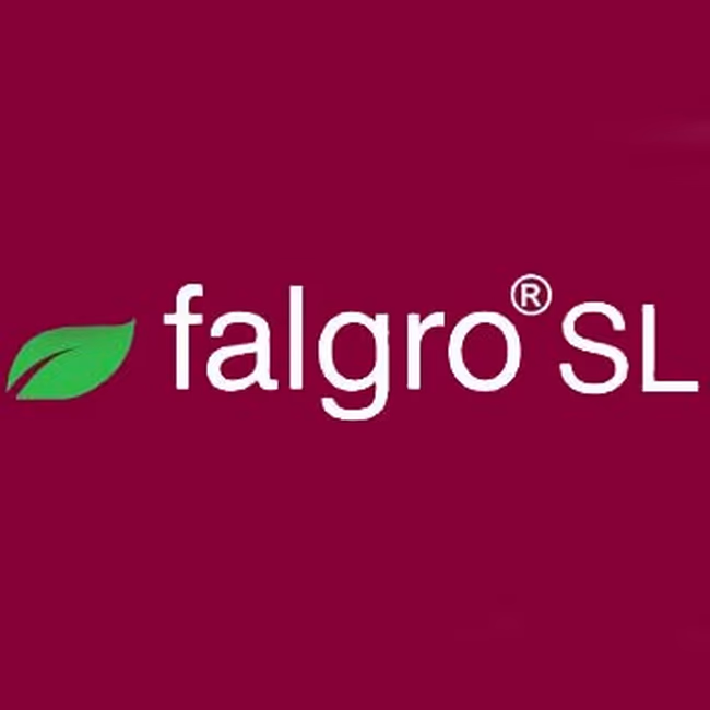 FALGRO TABLET