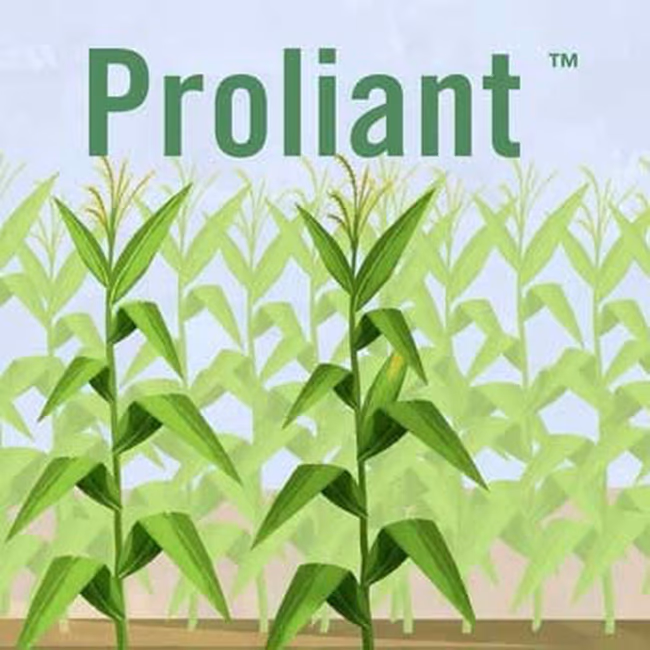PROLIANT